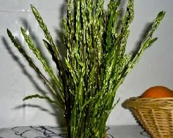 Esparragos silvestres