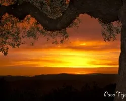 Mismo encuadre día y noche