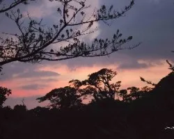 Nocturno en monte verde