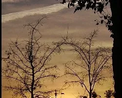 Esperando al invierno