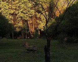 Después de la tormenta