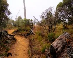 Camino al chirripó ii