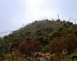 Camino al chirripó ii