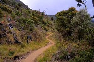 Rumbo al chirripó ii