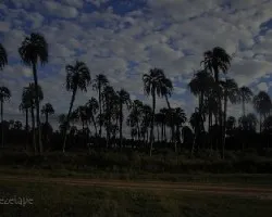 Parque nacional el palmar