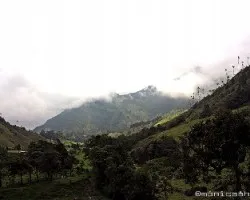 Mas de caminata valle del cocora