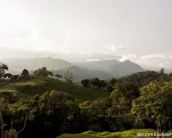 Vista desde la finca hotel vivero semilla
