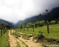 Mas de caminata valle del cocora