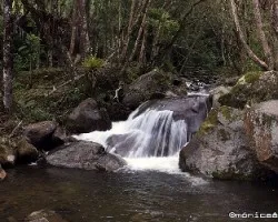 Caminata valle del cocora