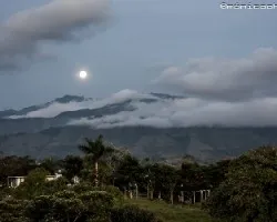 Vista desde la finca hotel vivero semilla