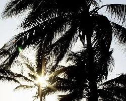 Contraluces forzados