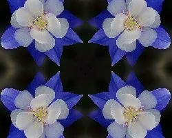 Feliz cumpleaños mitzi!!