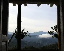 A través de la ventana el campo