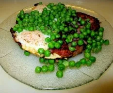 Oryctolagus cuniculus