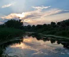 Cae la tarde en sol de riu