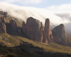 La niebla y la doncella