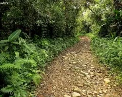 Caminos del río sombrero