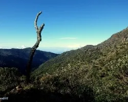 Apuntando al creador