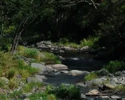 Río de jocotal  iii