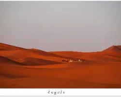 Dunas