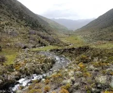 Camino hacia la laguna el hoyo