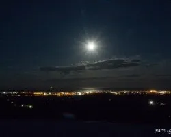 Bajo la luz de la luna