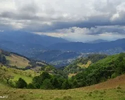 Caminando a patio de agua