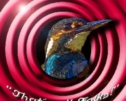 Â¡esto es todo amigos!