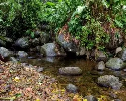 Riachuelo rumbo a Chiz