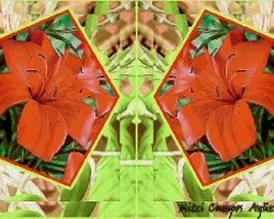 Lirios y figuras geométricas