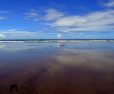 Bahía ballena en la mañana