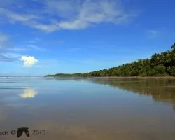 Bahía ballena en la mañana