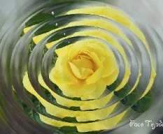 Reto del Mes de Octubre 2013: Manipulaciones Fotograficas