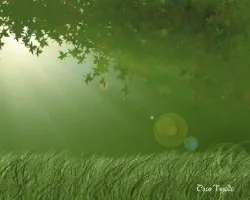 Hecho totalmente con ps