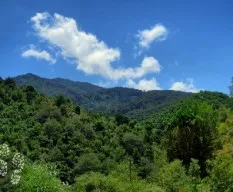 Laderas del buenavista