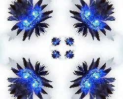 Con las flores de cactus!