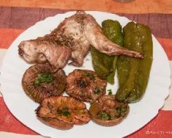 Lactarius deliciosus