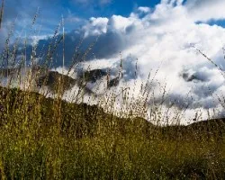 Camino al cerro el dragon