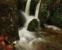 Catarata de otoño