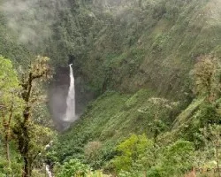 Cascada cinchona