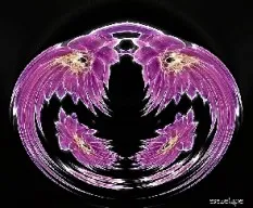 Sigo con las manipulaciones!!