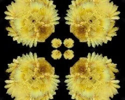 Sigo con las manipulaciones!!