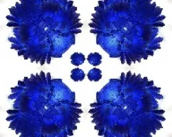 Sigo con las manipulaciones!!