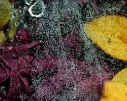 Gotas con hojas de colores