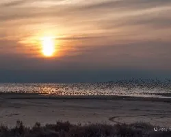 Atardece sobre el delta 