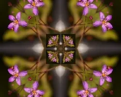 Despuntando el vicio!!