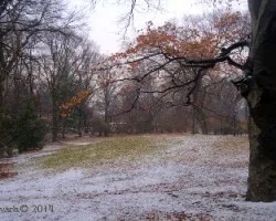 Colores en central park