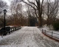 Colores en central park