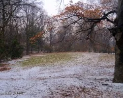 Colores en central park