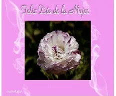 Feliz día de la mujer